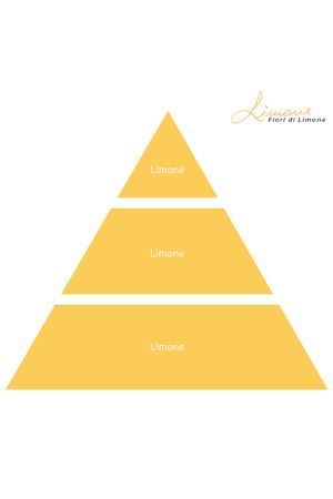 Limone  deo ambiente 100 ml Profumi di Procida | DEO AMBIENTE 100ML LIMONE100ML